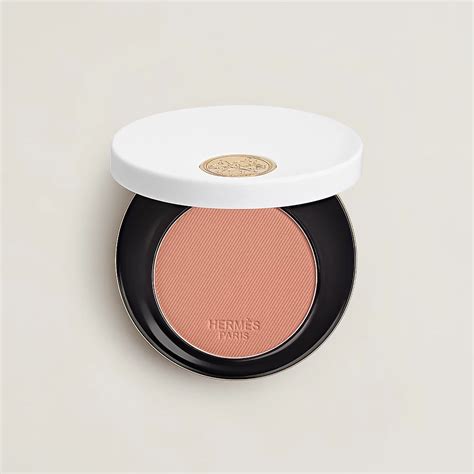 hermes rose tan blush|HERMÈS Rose Hermès Silky Blush Powder .